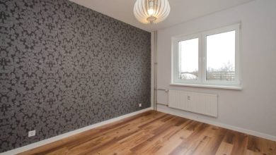 Photo of Аисты: герои детских сказок